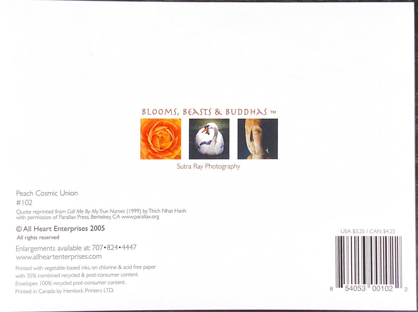 Peach Cosmic Union Note Card