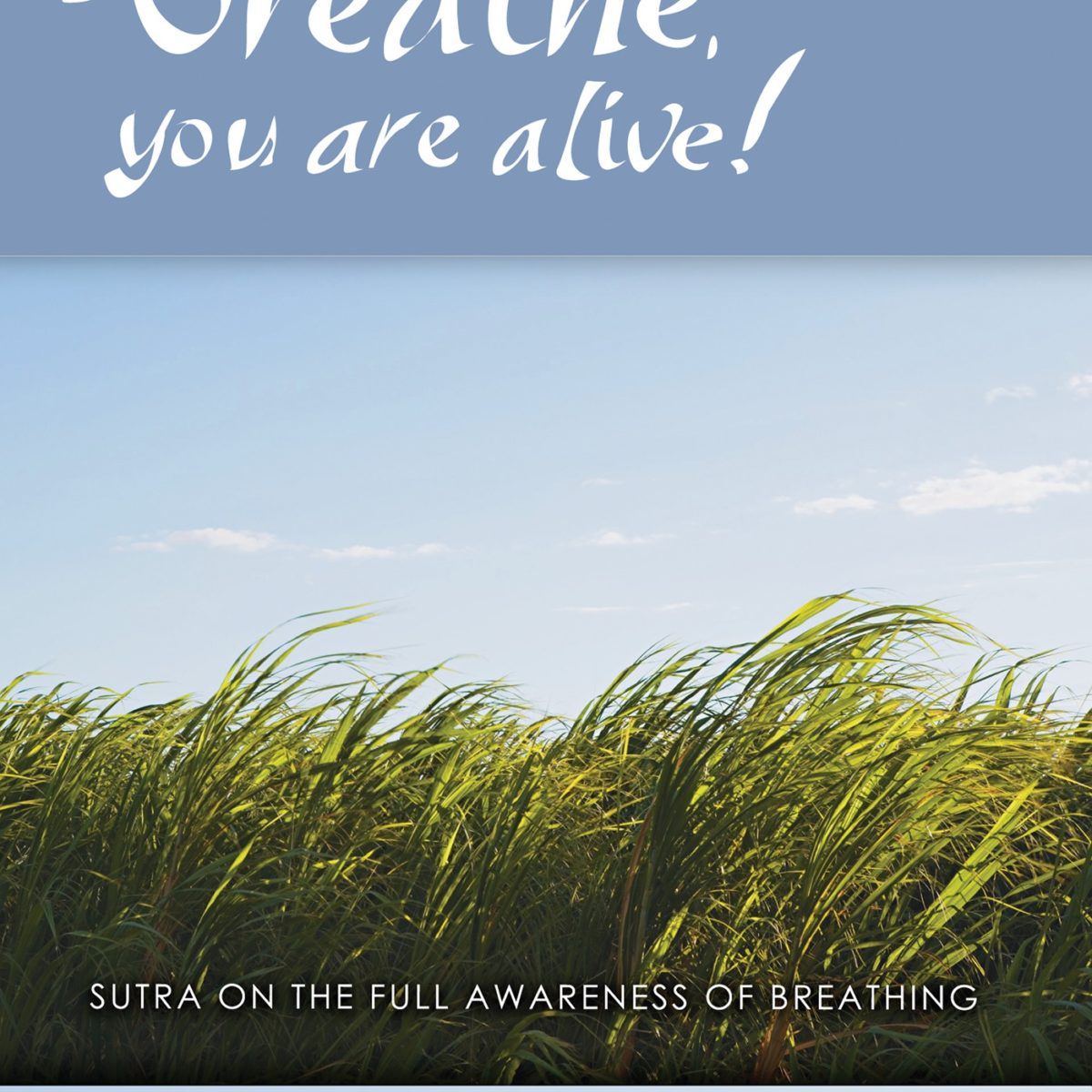 Breathe! You Are Alive