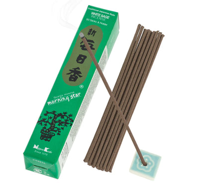 Morning Star - Sage