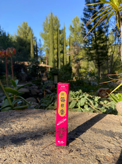 Morning Star - Rose