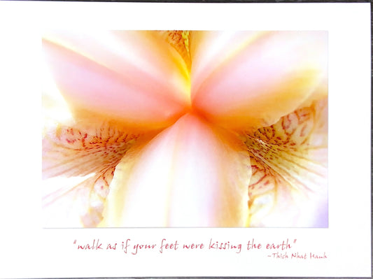 Peach Cosmic Union Note Card