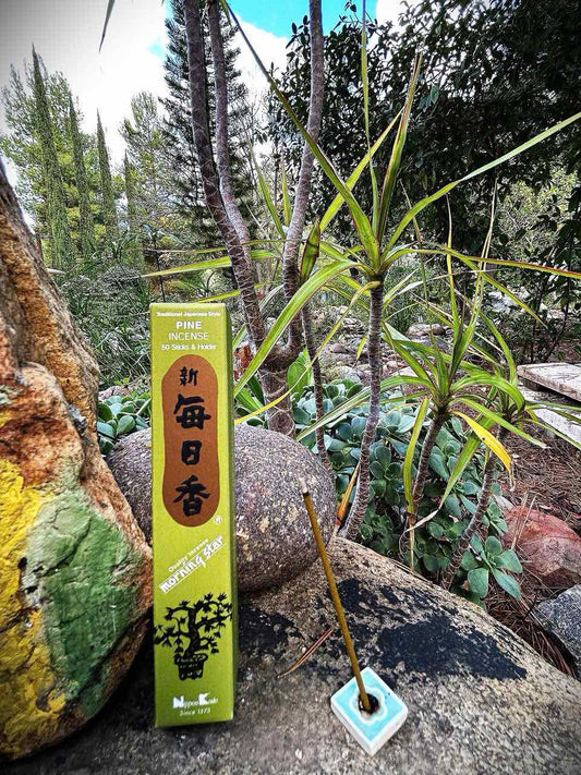 Morning Star - Pine
