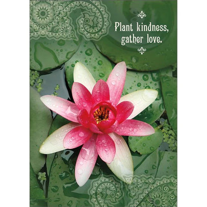 Amber Lotus - Note Cards