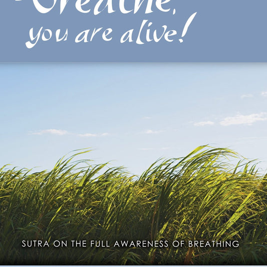 Breathe! You Are Alive